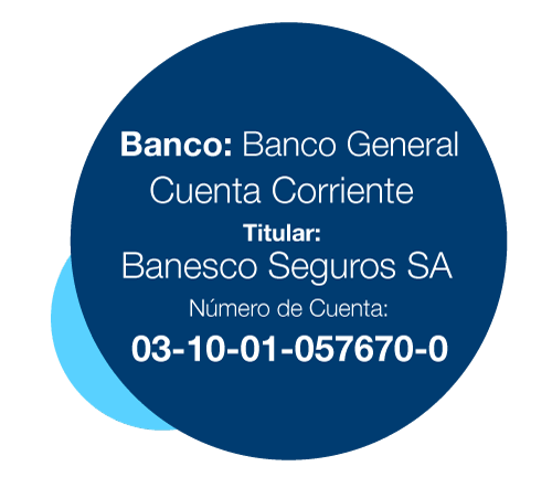 Información de pago para los paneles de pago B