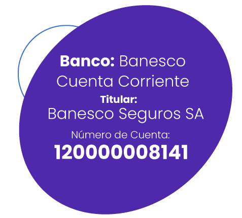 Información de pago para los paneles de pago A
